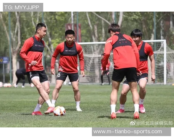 河北足球吧热议本赛季球队表现球迷期待新星崛起与战术革新